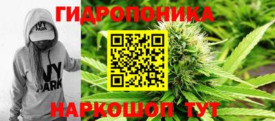 прущие крисы Усть-Илимск
