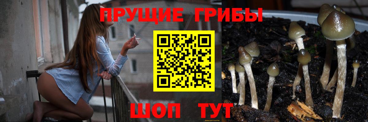 Псилоцибиновые грибы Psilocybine cubensis  Вход с VPN  Галлюциногенные грибы Psilocybe  где продают   Строитель 